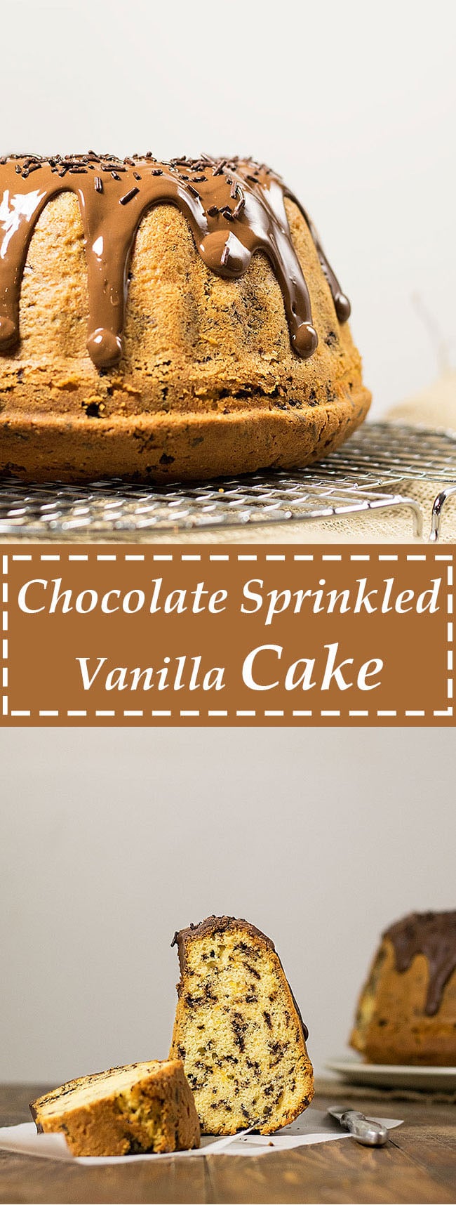 chocolate sprinkled vanilla bundt cake 5