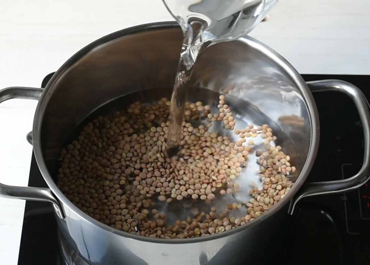 A jag pouring water into a pot with brown lentils.