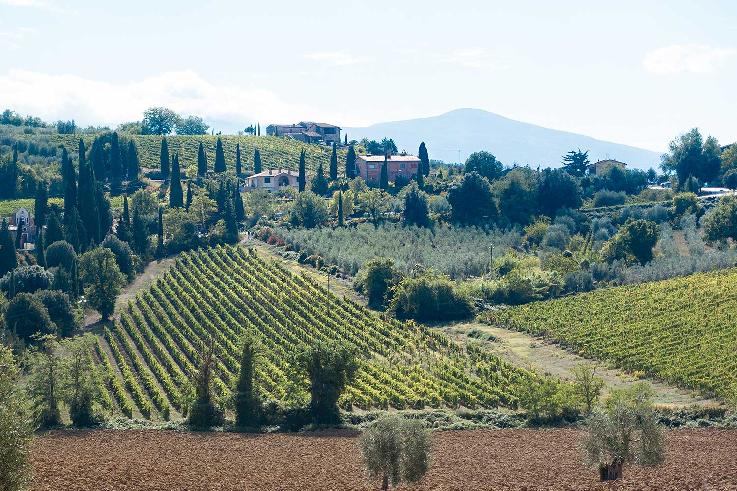 Image of the Italian region Tuscany.