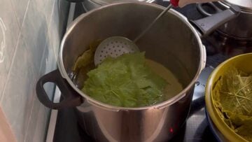 Grape leaves in a pot with boiling water.