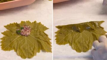 Two hands showing how to roll the grape leaves (step by step).