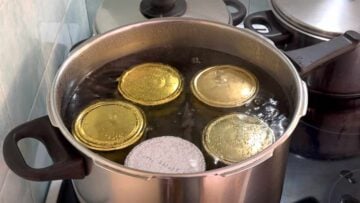 Jars boiling in a pot with water.