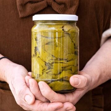 Two hands holding a jar with grape leaves.