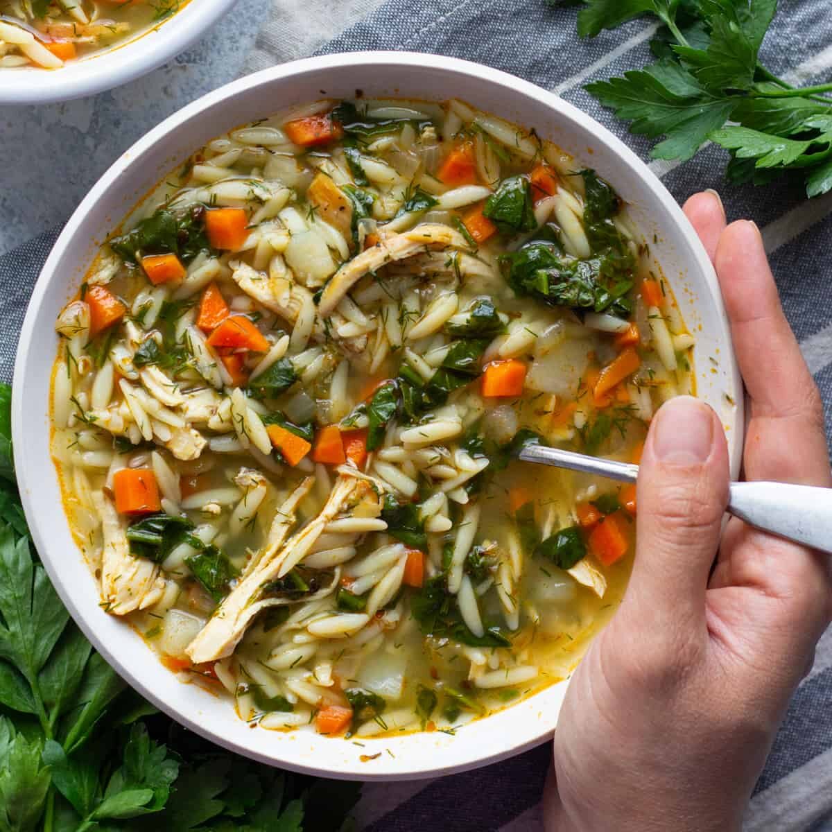 Chicken and orzo soup in a bowl.